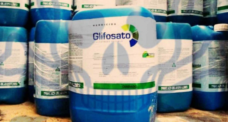 El glifosato produce cáncer: la Justicia condenó a Monsanto a ...