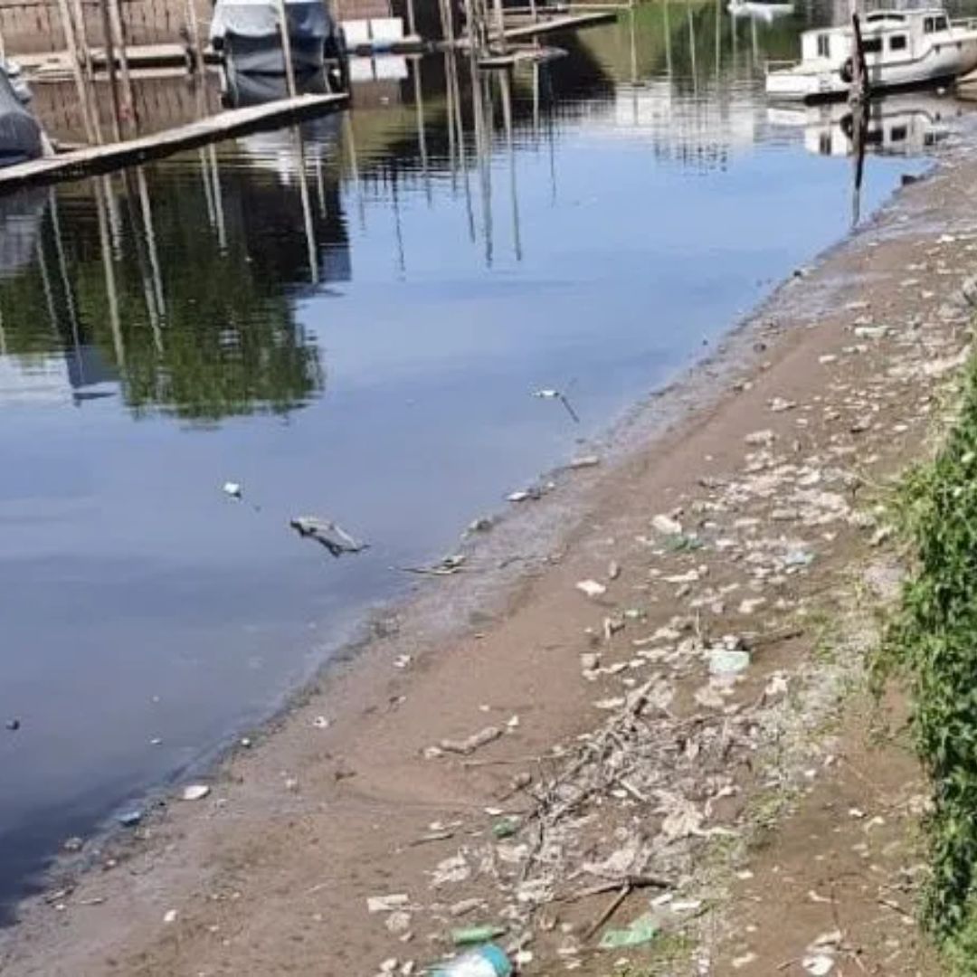 Presentan un amparo por la contaminación del arroyo Ludueña